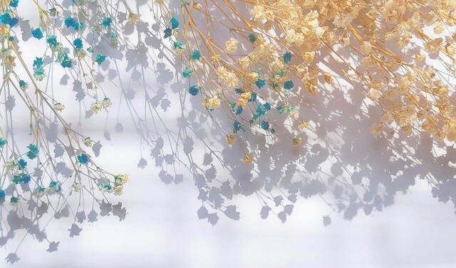 プロフィール背景画像